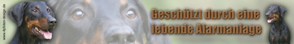 Autoaufkleber Dobermann