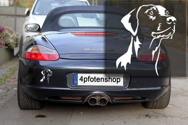 Autoaufkleber "Dobermann" Kopf