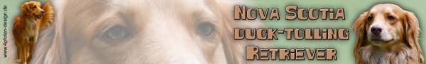 Aufkleber Nova Scotia Duck Tolling Retriever