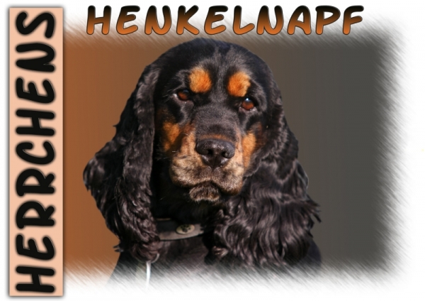 Fototasse Englischer Cocker Spaniel Herrchen/Frauchen