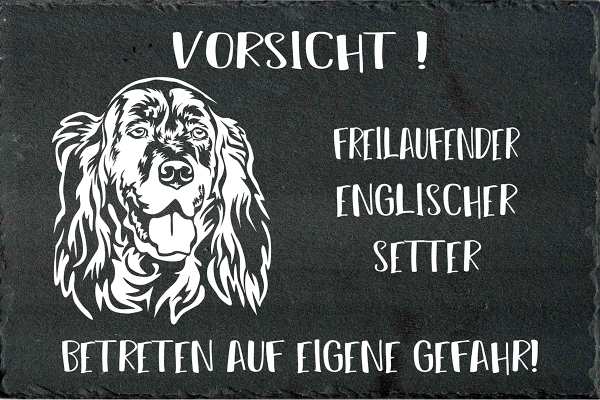 Schieferplatte Englischer Setter