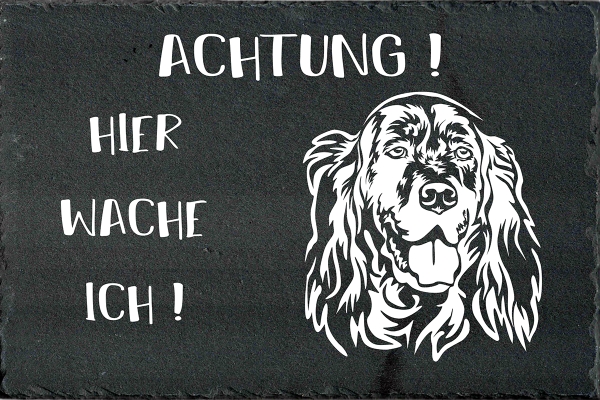 Schieferplatte Englischer Setter