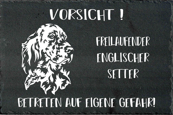 Schieferplatte Englischer Setter