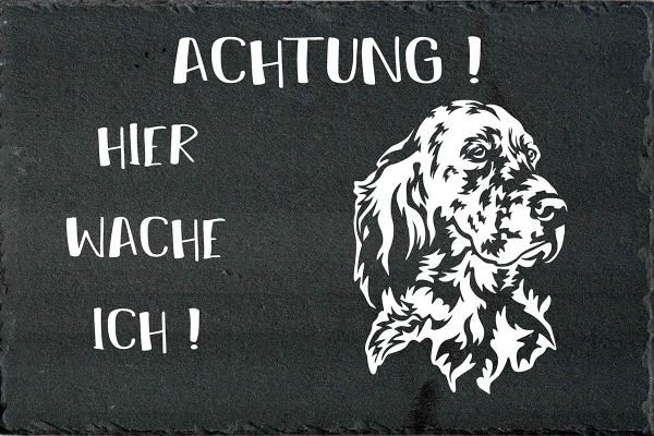 Schieferplatte Englischer Setter