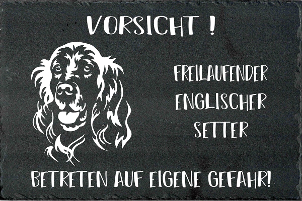 Schieferplatte Englischer Setter