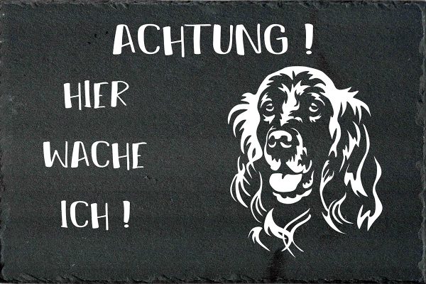 Schieferplatte Englischer Setter