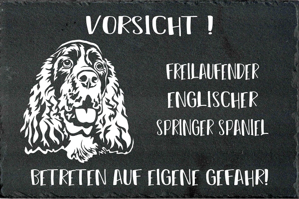 Schieferplatte Englischer Springer Spaniel