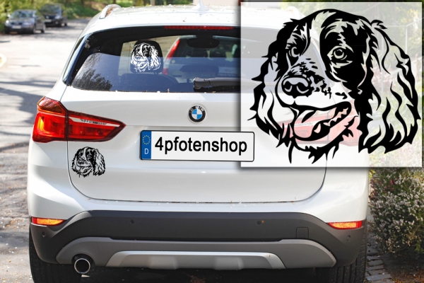 Autoaufkleber "Englischer Springer Spaniel" Kopf