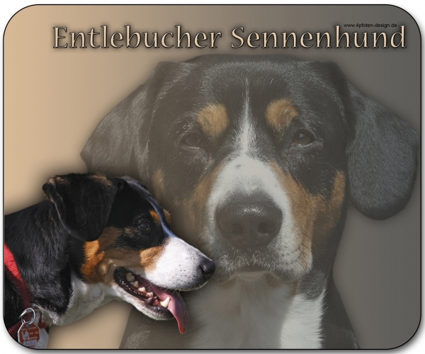 Mousepad Entlebucher Sennenhund