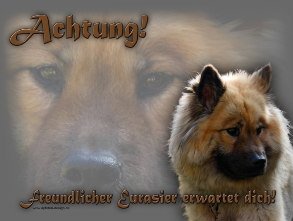 Aluminiumschild Eurasier