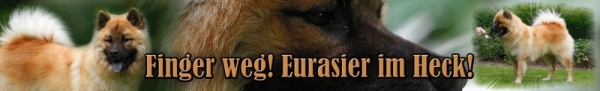 Autoaufkleber Eurasier