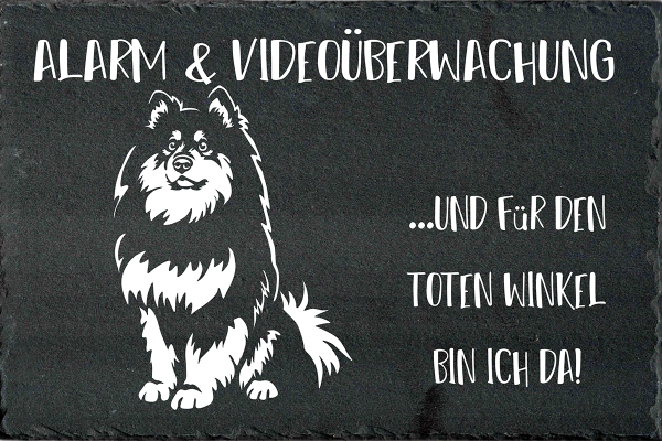 Schieferplatte Finnischer Lapphund