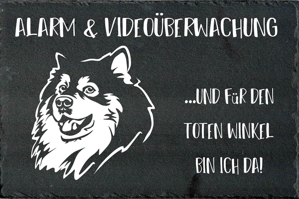 Schieferplatte Finnischer Lapphund