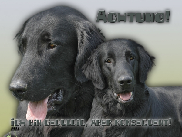 Aluminiumschild flat-coated retriever