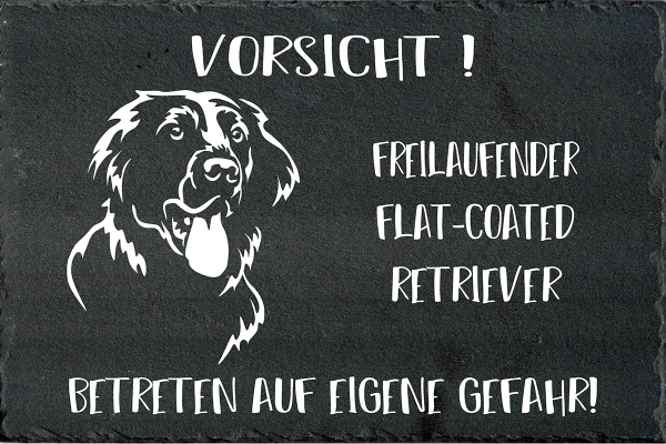 Schieferplatte Flat-Coated Retriever