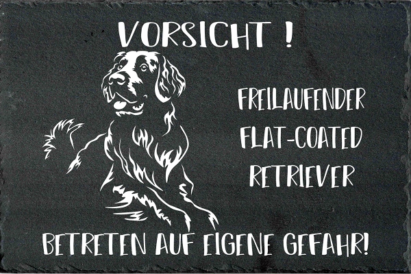 Schieferplatte Flat-Coated Retriever