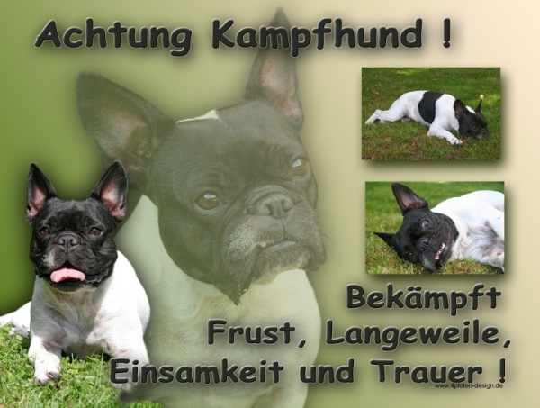 Aluminiumschild Französische Bulldogge