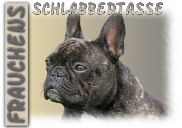 Fototasse Französische Bulldogge Herrchen/Frauchen