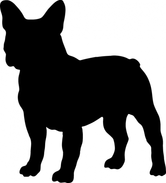 Französische Bulldogge stehend Silhouette