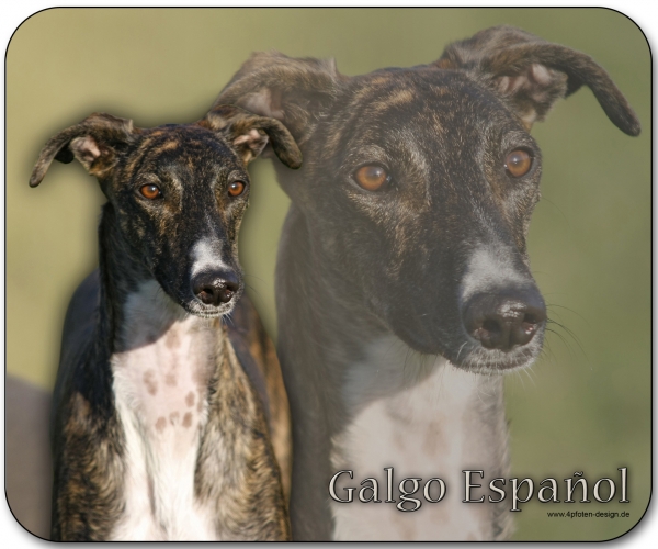 Mousepad Galgo