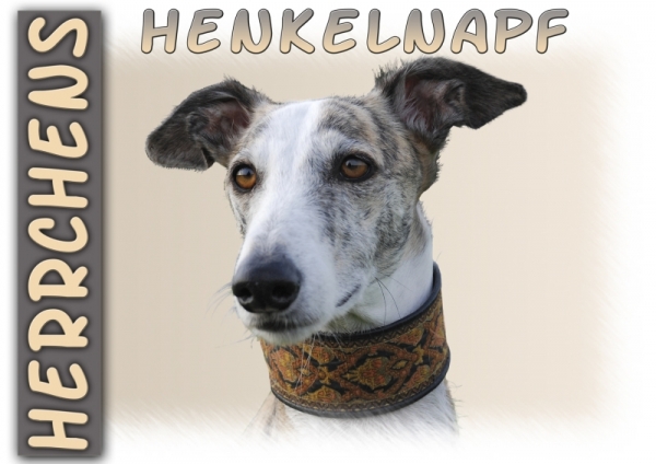 Fototasse Galgo (Spanischer Windhund) Herrchen/Frauchen