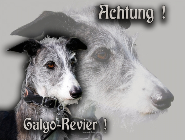 Aluminiumschild Galgo