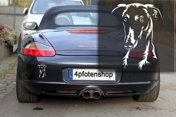 Autoaufkleber "Galgo" Kopf