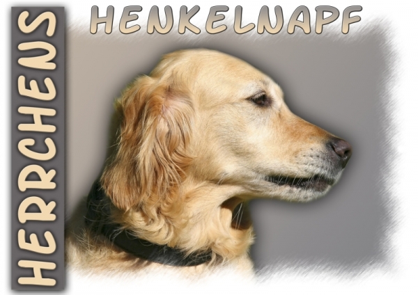 Fototasse Golden Retriever Herrchen/Frauchen