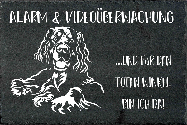 Schieferplatte Gordon Setter