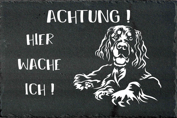 Schieferplatte Gordon Setter