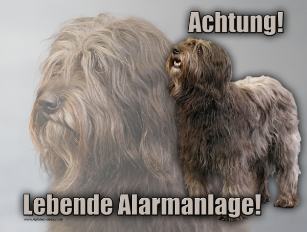 Aluminiumschild Katalanischer Schäferhund