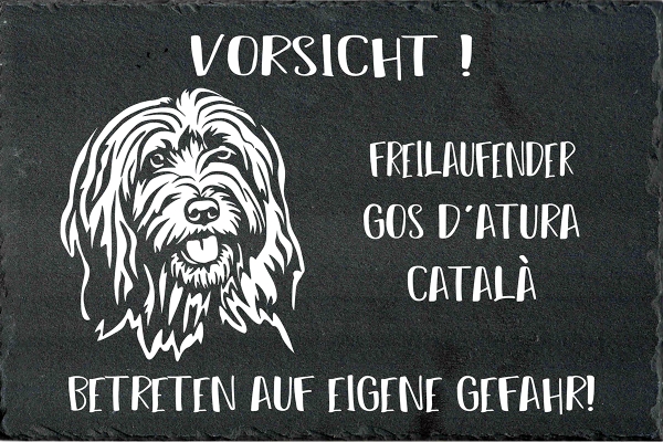 Schieferplatte Gos d'Atura Catala (Katalanischer Schäferhund)