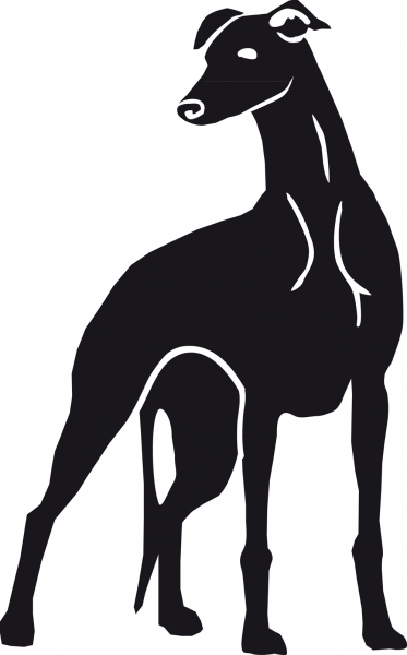 Greyhound stehend Silhouette