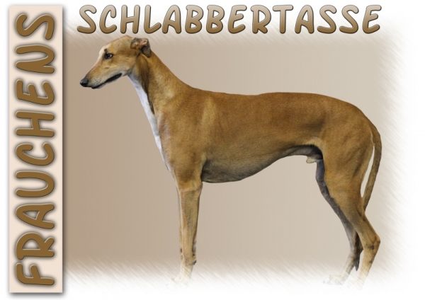 Fototasse Greyhound