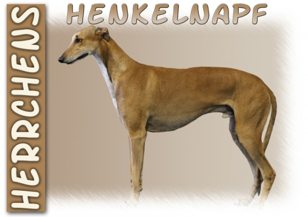 Fototasse Greyhound Herrchen/Frauchen