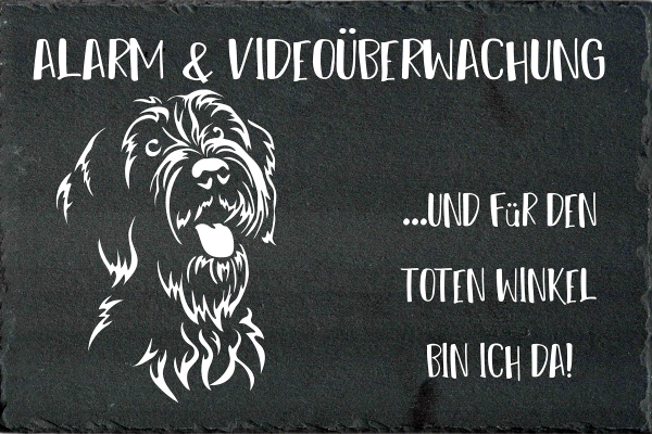 Schieferplatte Griffon Korthals