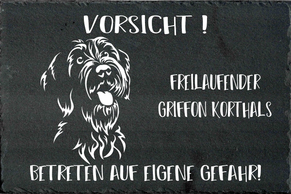Schieferplatte Griffon Korthals