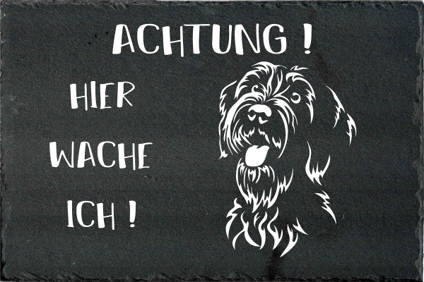 Schieferplatte Griffon Korthals