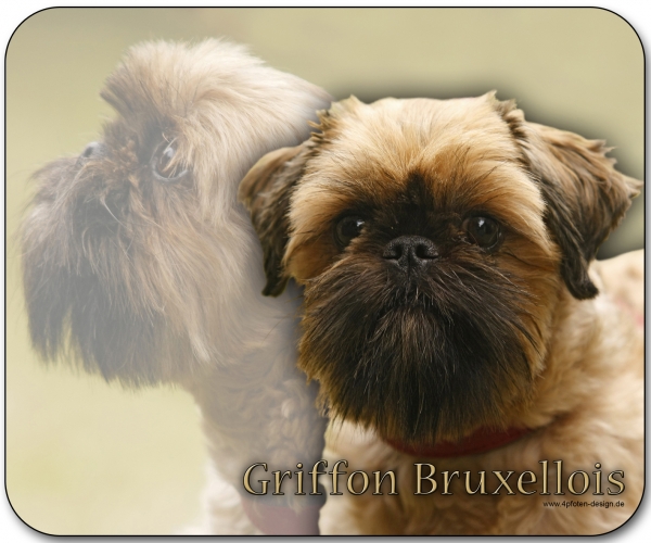 Mousepad Griffon bruxellois