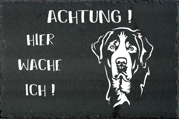 Schieferplatte Großer Schweizer Sennenhund