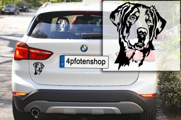 Autoaufkleber "Großer Schweizer Sennenhund" Kopf