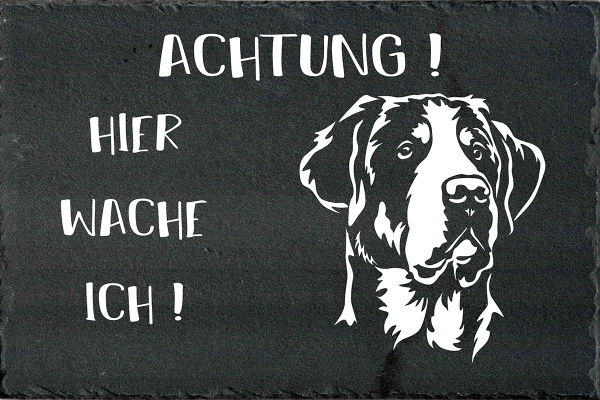 Schieferplatte Großer Schweizer Sennenhund