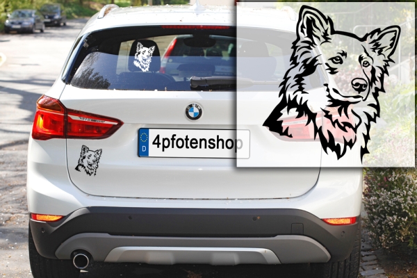 Autoaufkleber "Harzer Fuchs (Altdeutscher Hütehund)" Kopf