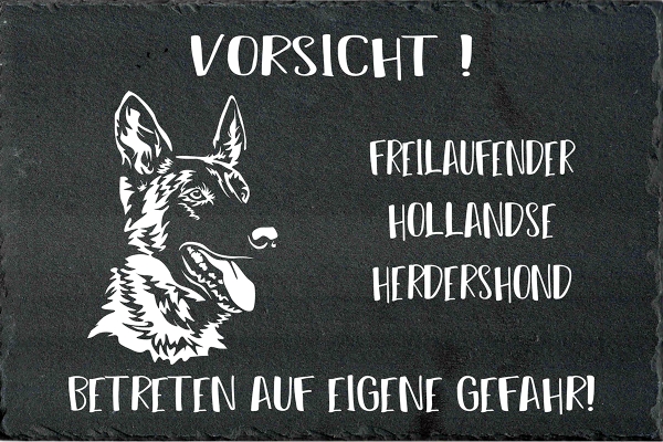 Schieferplatte Hollandse Herder