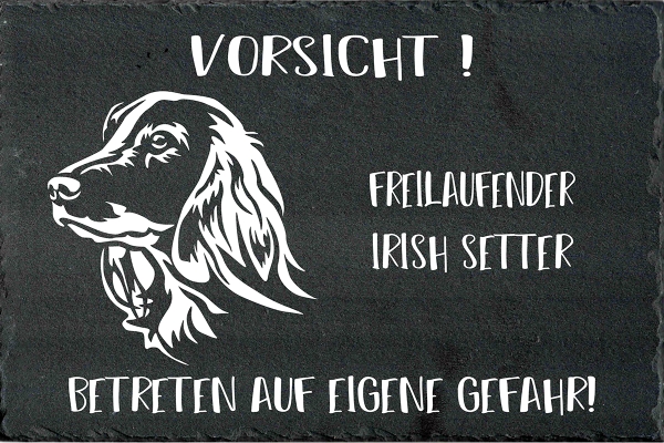 Schieferplatte Irish Setter