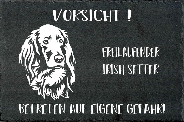 Schieferplatte Irish Setter