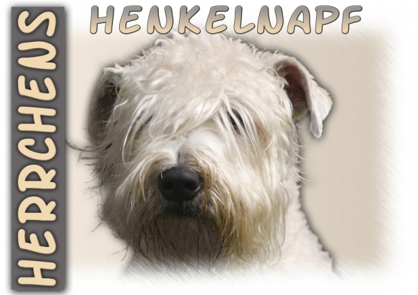 Fototasse Wheaten Terrier