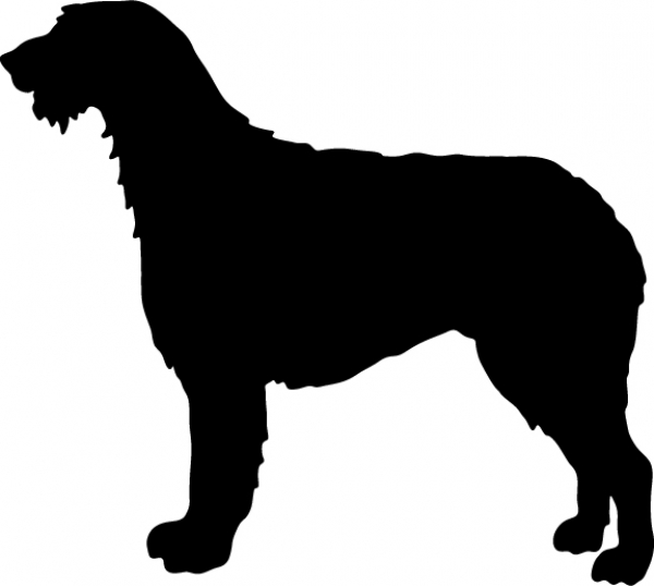 Irish Wolfhound stehend Silhouette