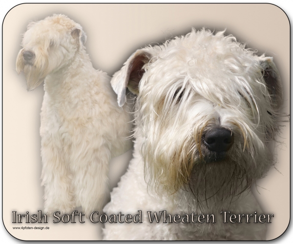 Mousepad Irish soft-coated Wheaten Terrier