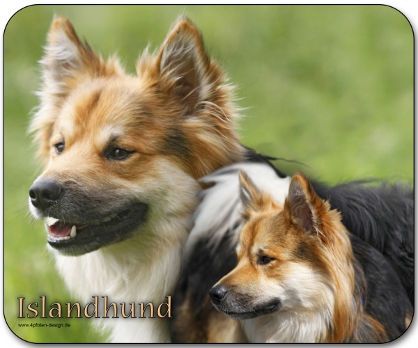 Mousepad Islandspitz